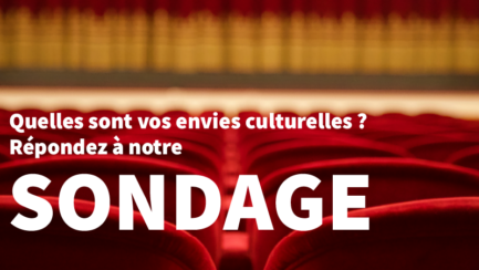 Sondage culturel